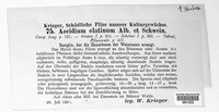 Melampsorella elatina image